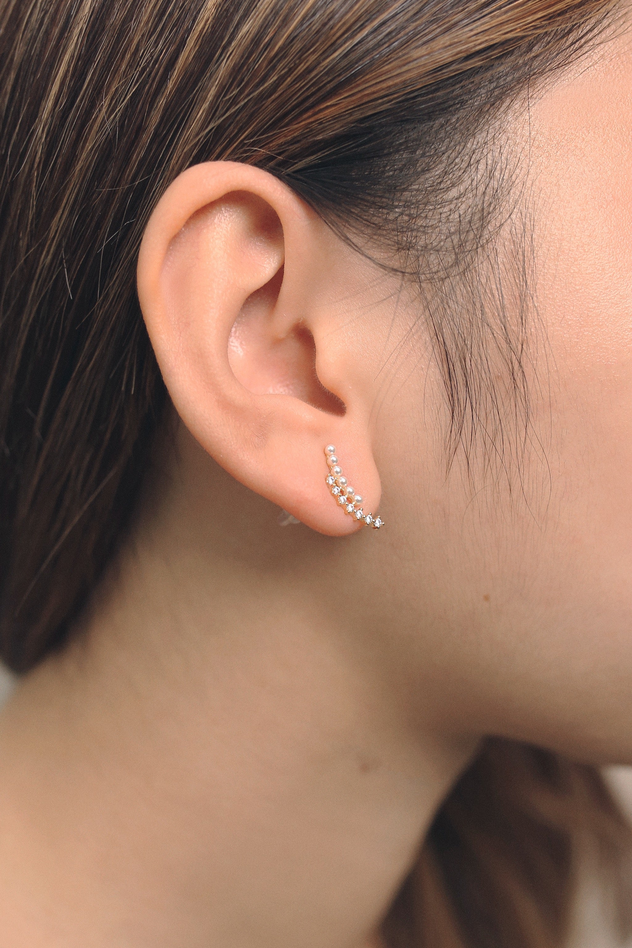 Arc Diamonte Earring