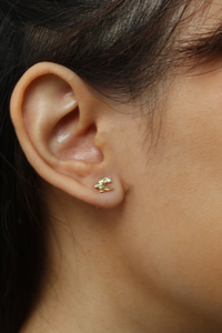 Wish Upon The Star Earrings