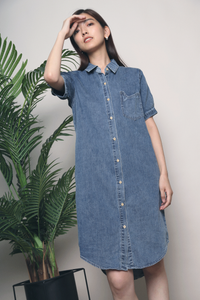Asis Denim Dress Restock
