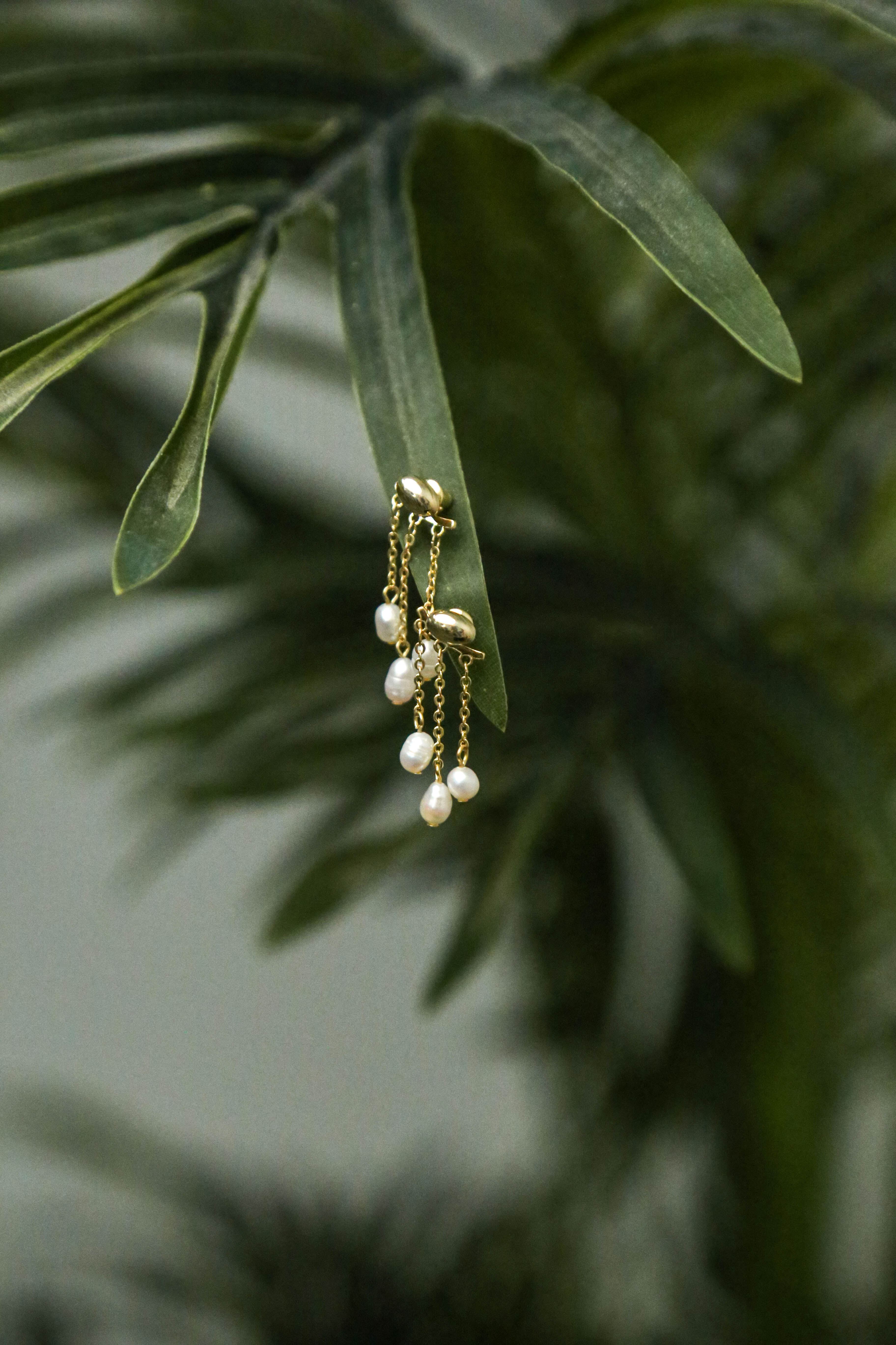 Dew Drops Earring